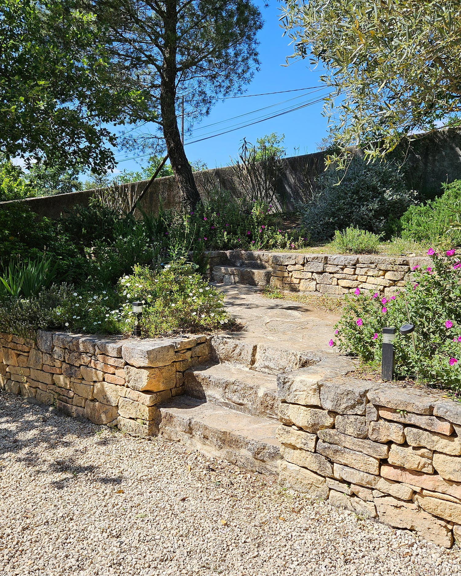 De plantentuin